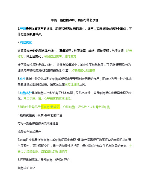 细胞、组织的适应、损伤与修复试题