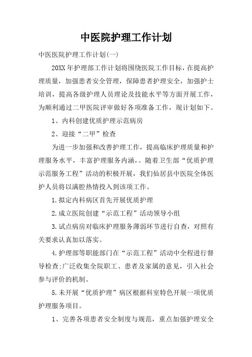中医院护理工作计划