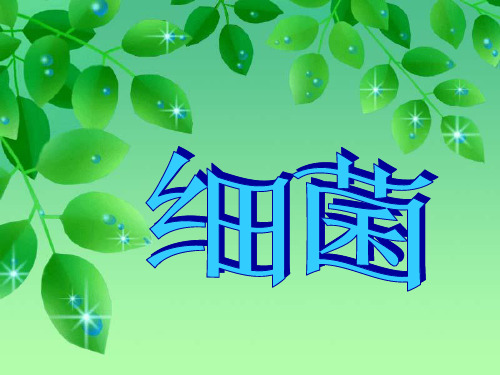 2.3.2细菌  课件-济南版七年级生物上册