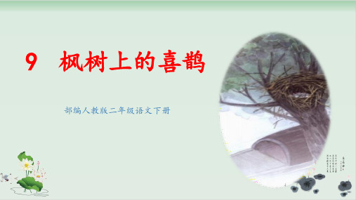 部编人教版语文《枫树上的喜鹊》优质PPT1