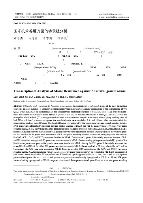 玉米抗禾谷镰刀菌的转录组分析