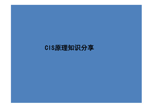 CIS原理培训教材