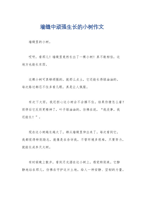 墙缝中顽强生长的小树作文