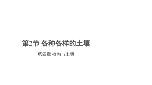 浙教版科学八年级下册4.2 各种各样的土壤(共16张PPT)