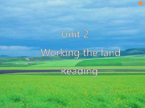 高中英语：Unit2 Working the land Reading优质课件(共24张PPT)