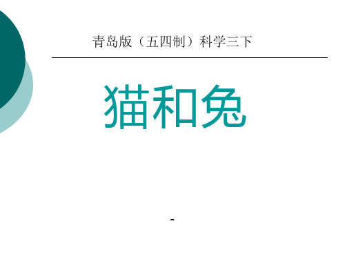 202X春青岛版(五四制)科学三下第17课《猫和兔》ppt课件