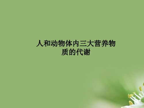 人和动物体内三大营养物质的代谢ppt8 人教版精选教学PPT课件