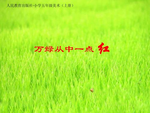 万绿丛中一点红课件ppt