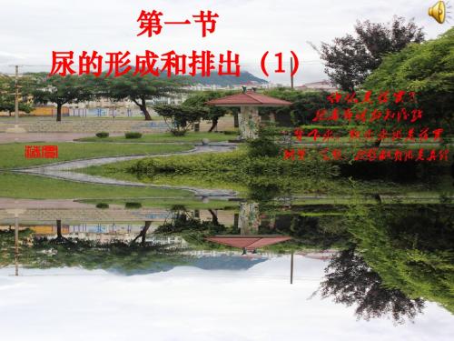 《尿液的形成和排出》教学课件6 济南版