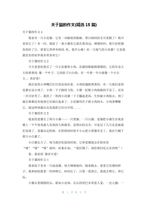 关于猫的作文(精选15篇)