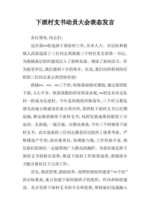 下派村支书动员大会表态发言