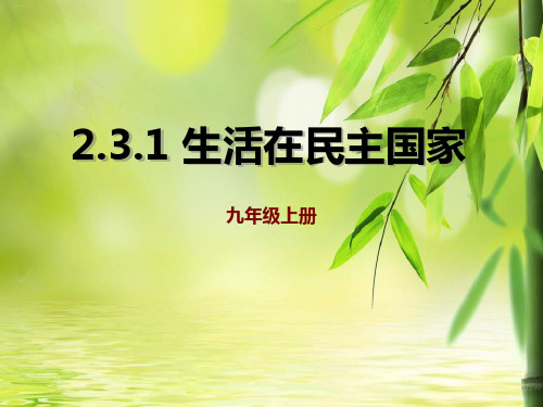 《生活在民主国家》追求民主价值PPT课件(完美版)