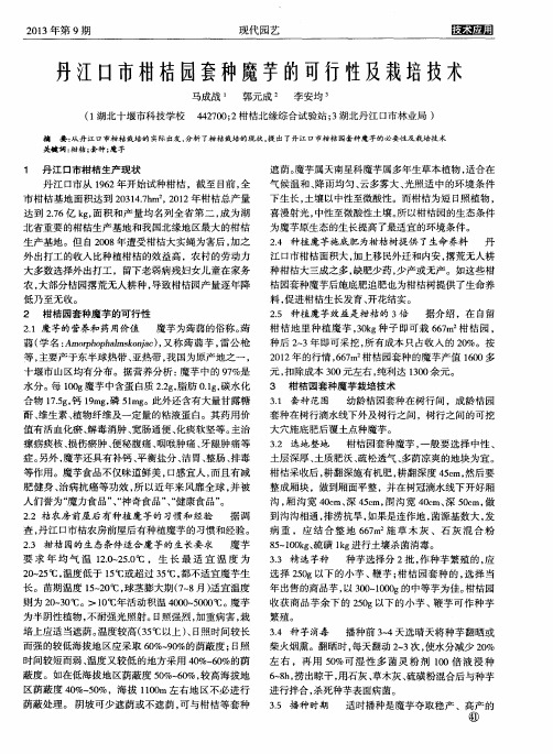 丹江口市柑桔园套种魔芋的可行性及栽培技术