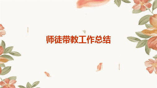 师徒带教工作总结PPT