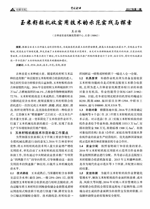 玉米籽粒机收实用技术的示范实践与探索