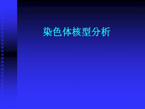 染色体核型分析