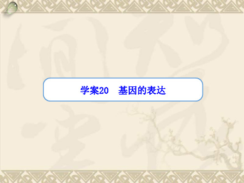【金版方案】高考生物一轮复习“学案”第20讲 基因的表达课件 新人教版