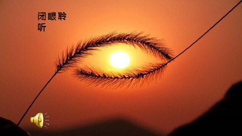 初中美术《黑白世界》优质教学课件