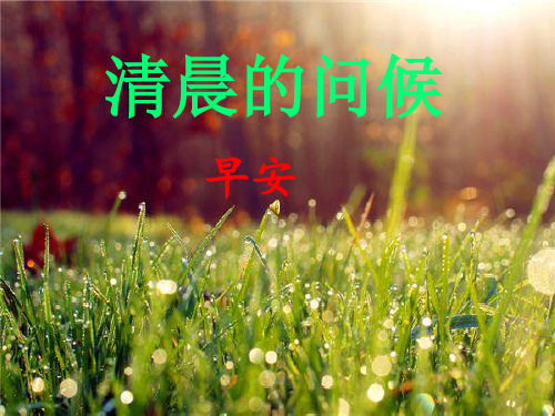 一年级晨诵小雨沙沙—