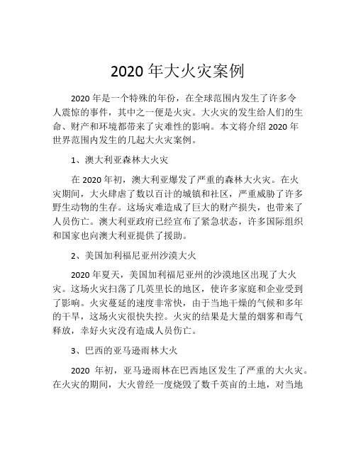 2020年大火灾案例