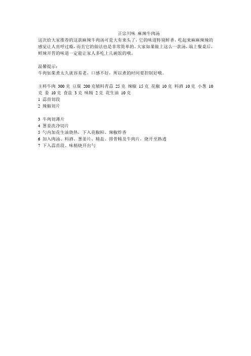 正宗川味 麻辣牛肉汤