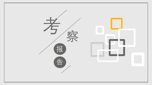 装饰材料考察报告
