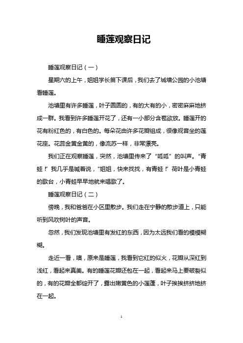 睡莲观察日记