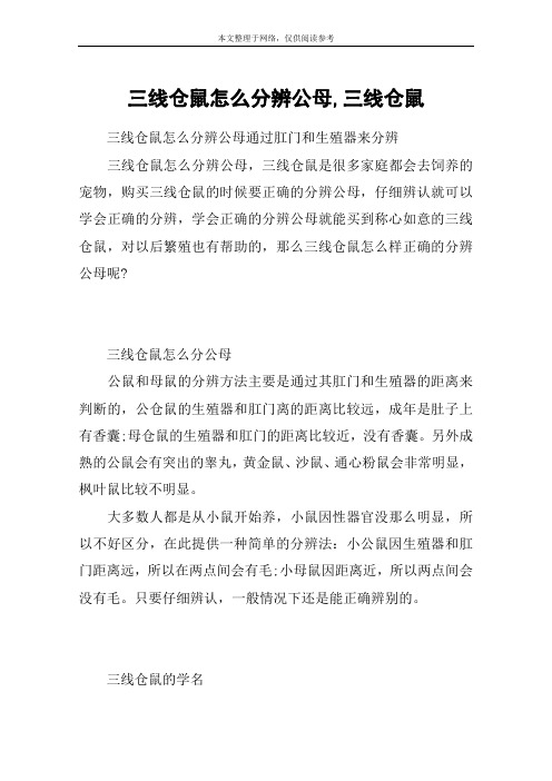 三线仓鼠怎么分辨公母,三线仓鼠