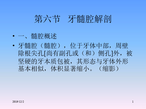 髓腔解剖PPT课件
