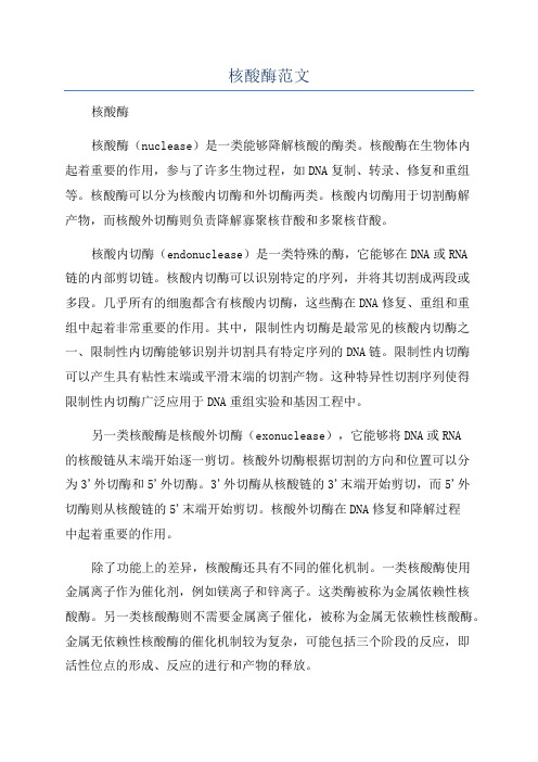 核酸酶范文