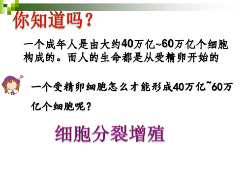 人教版生物必修一6.1  细胞的增殖37PPT