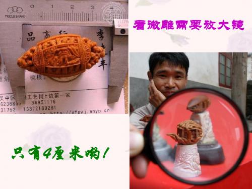 凤凰涅盘----核舟记ppt
