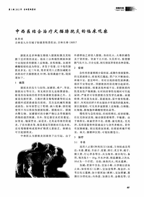 中西医结合治疗犬猫膀胱炎的临床观察