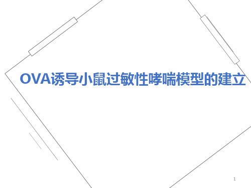 (参考课件)OVA诱导小鼠过敏性哮喘模型的建立