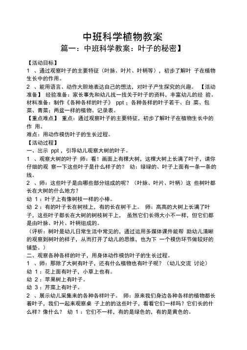 中班科学植物教案