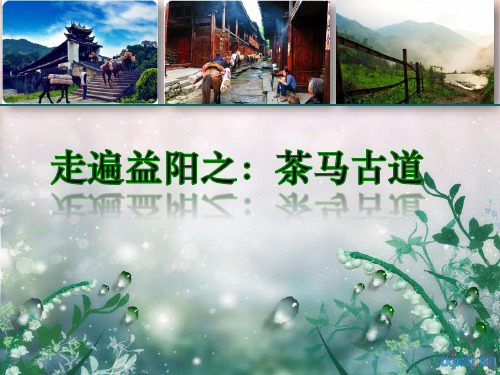 走遍益阳之茶马古道