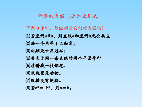 命题的真假判断及逻辑表达式(与或非)