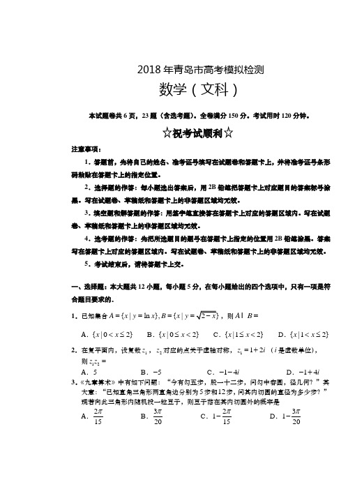 2018.5年青岛市高考模拟检测文科数学 精品