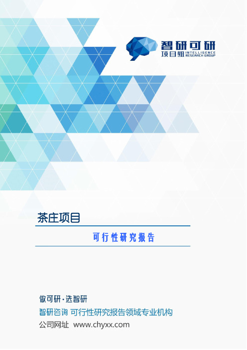 茶庄项目可行性研究报告