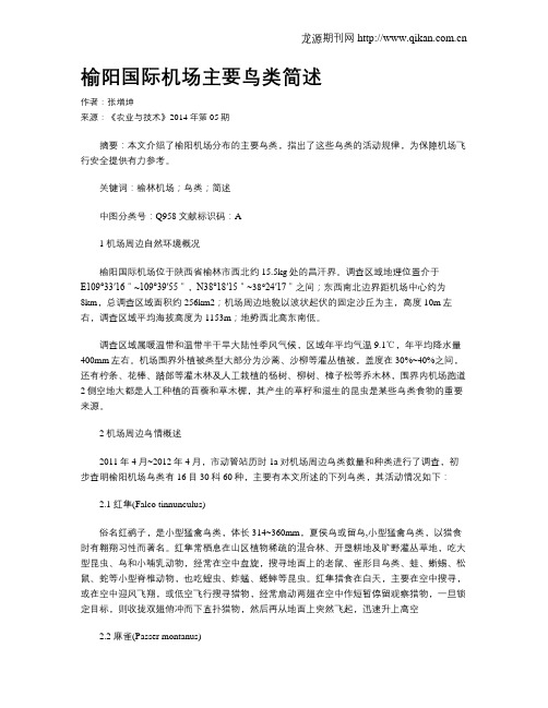 榆阳国际机场主要鸟类简述