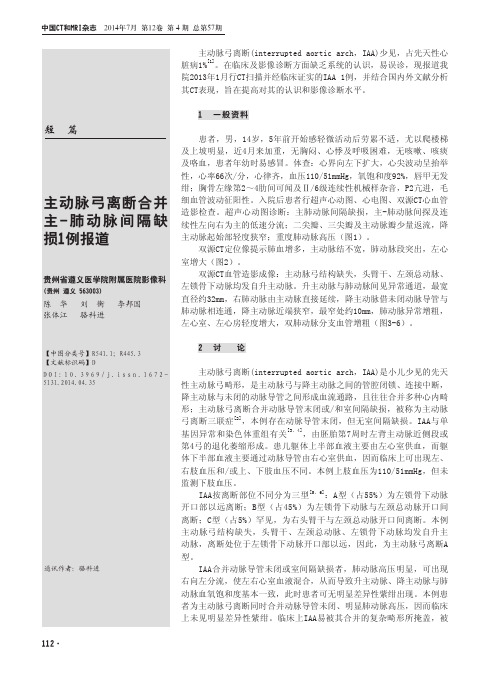 主动脉弓离断合并主-肺动脉间隔缺损1例报道