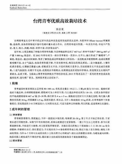 台湾青枣优质高效栽培技术