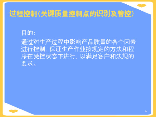 (2021)过程控制正式版PPT资料