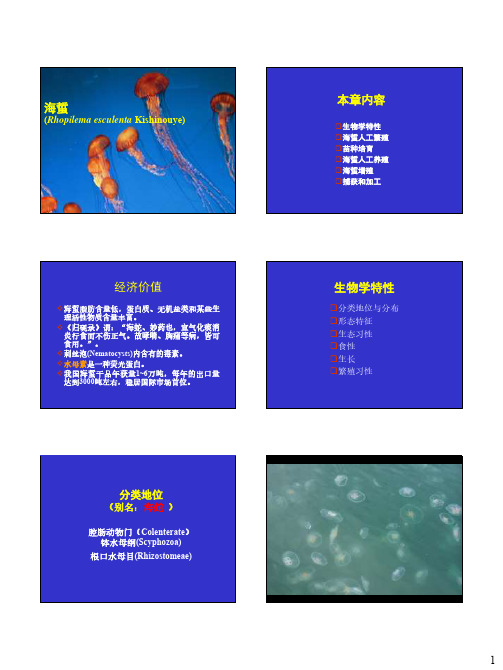 水产特种经济动物养殖学11海蜇