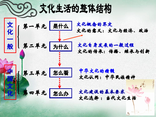 湖南省新田县第一中学高中政治人教课件：必修3 体味文化共38张