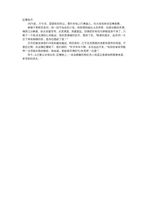 初中作文-红樱花开