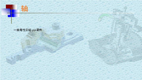 一般毒性实验-ppt课件