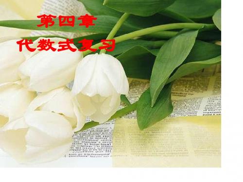 第4章、代数式复习