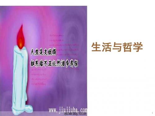 【高中政治】生活处处有哲学ppt精品课件33