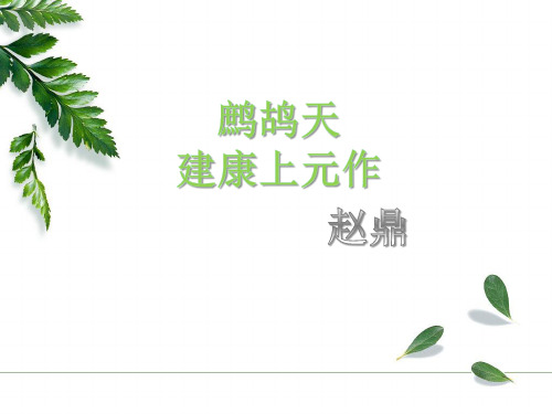 鹧鸪天.ppt